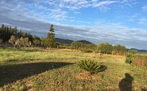 Foto pubblicata dell'ospite di Can Barbara