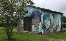 Foto pubblicata dell'ospite di Villa Sonia