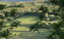 Foto pubblicata dell'ospite di Villa la Vedetta