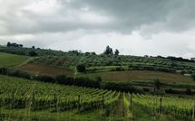 Foto pubblicata dell'ospite di Villa Ferdinando