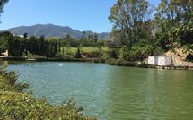 Foto pubblicata dell'ospite di Benalmádena Costa 121