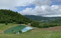Foto pubblicata dell'ospite di Fattoria Il Monte