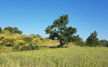 Foto pubblicata dell'ospite di Casa Caldesi