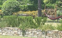 Foto pubblicata dell'ospite di Villa Marietta