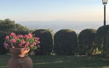 Foto pubblicata dell'ospite di Casa Ivan