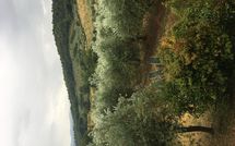 Foto pubblicata dell'ospite di Montescalari