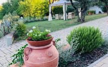 Foto pubblicata dell'ospite di Gli Appartamenti di Manuela