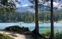 Foto pubblicata dell'ospite di Suite 07-03