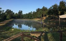 Foto pubblicata dell'ospite di Fucecchio 900