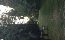 Foto pubblicata dell'ospite di Montegufoni