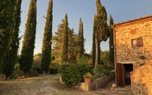 Foto pubblicata dell'ospite di Country House Il Galleto