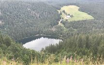 Foto pubblicata dell'ospite di Hallenbadweg