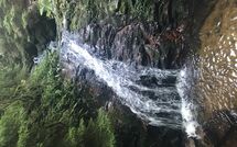 Foto pubblicata dell'ospite di Hallenbadweg