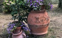 Foto pubblicata dell'ospite di Villa Flora