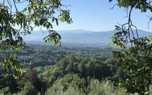 Foto pubblicata dell'ospite di Villa Flora