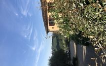 Foto pubblicata dell'ospite di Montegufoni