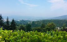 Foto pubblicata dell'ospite di Villa Filippo