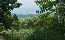 Foto pubblicata dell'ospite di Villa Filippo