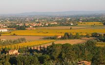 Foto pubblicata dell'ospite di Villa Chiara