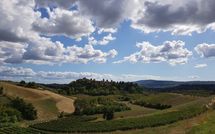 Foto pubblicata dell'ospite di Certaldo