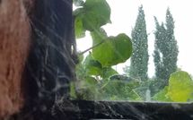 Foto pubblicata dell'ospite di Tara