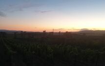 Foto pubblicata dell'ospite di Borgo Casa di Lappi