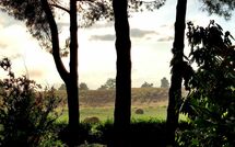 Foto pubblicata dell'ospite di Pagliazzone