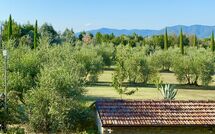 Foto pubblicata dell'ospite di Galleria di Brolio