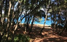 Foto pubblicata dell'ospite di Labin 767