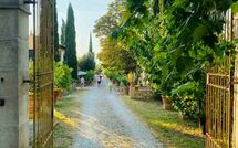 Foto pubblicata dell'ospite di Tenuta Il Tresto