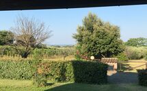 Foto pubblicata dell'ospite di Poderino