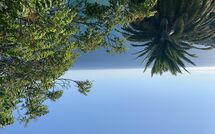 Foto pubblicata dell'ospite di Villa Ginestra