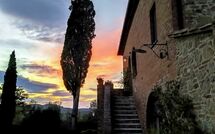 Foto pubblicata dell'ospite di Villa Scianellone