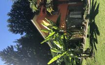 Foto pubblicata dell'ospite di Castro 150