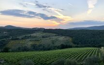 Foto pubblicata dell'ospite di Contessa di Gaiole