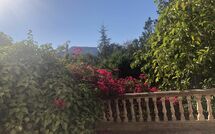 Foto pubblicata dell'ospite di Son Real