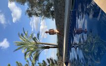 Foto pubblicata dell'ospite di Son Real