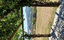 Foto pubblicata dell'ospite di Scansano 100