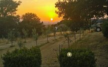 Foto pubblicata dell'ospite di Fattoria le Chianacce