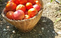 Foto pubblicata dell'ospite di Torre del Cielo