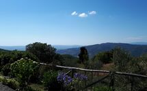 Foto pubblicata dell'ospite di Casetta i Ciliegi