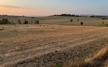 Foto pubblicata dell'ospite di Villa Farneta