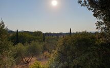 Foto pubblicata dell'ospite di Campo Valerio