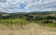 Foto pubblicata dell'ospite di Vittoriana