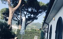 Foto pubblicata dell'ospite di Casa Sorvillo