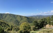 Foto pubblicata dell'ospite di Villa Margherita