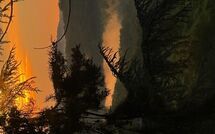 Foto pubblicata dell'ospite di Radda in Chianti 850