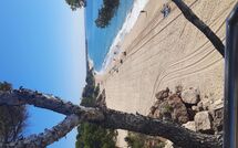 Foto pubblicata dell'ospite di Miami Platja 496