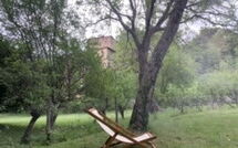 Foto pubblicata dell'ospite di Casa Dell'Ambasciatore