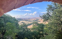 Foto pubblicata dell'ospite di Podere Palazzo